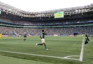 Torcida do Palmeiras ultrapassa a do São Paulo e assume terceiro lugar no país