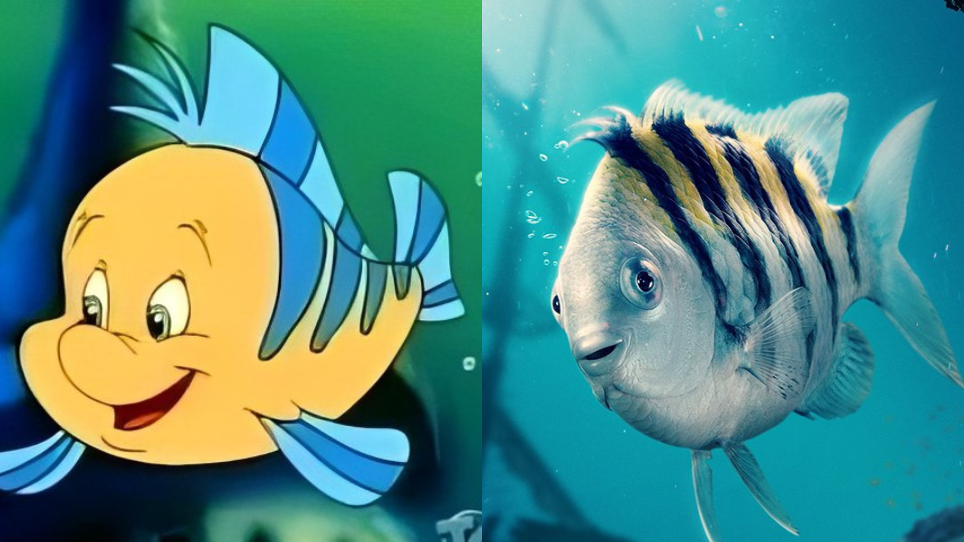 Linguado, de "A Pequena Sereia"