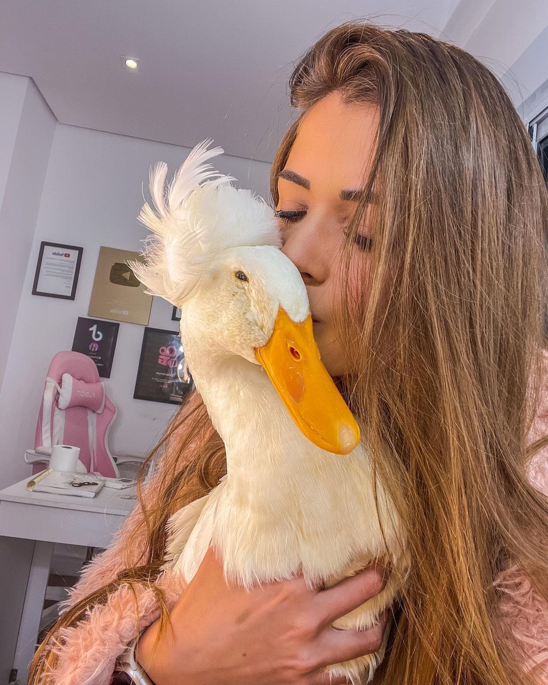 Influencer oferece recompensa para quem localizar pato de estimação desaparecido. / Reprodução/ Instagram