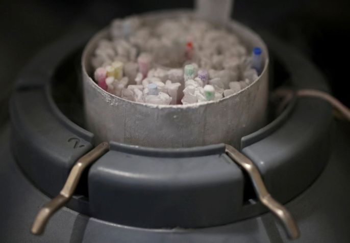 Frascos com esperma congelado dentro de recipiente congelado em laboratório / REUTERS/Christian Hartmann