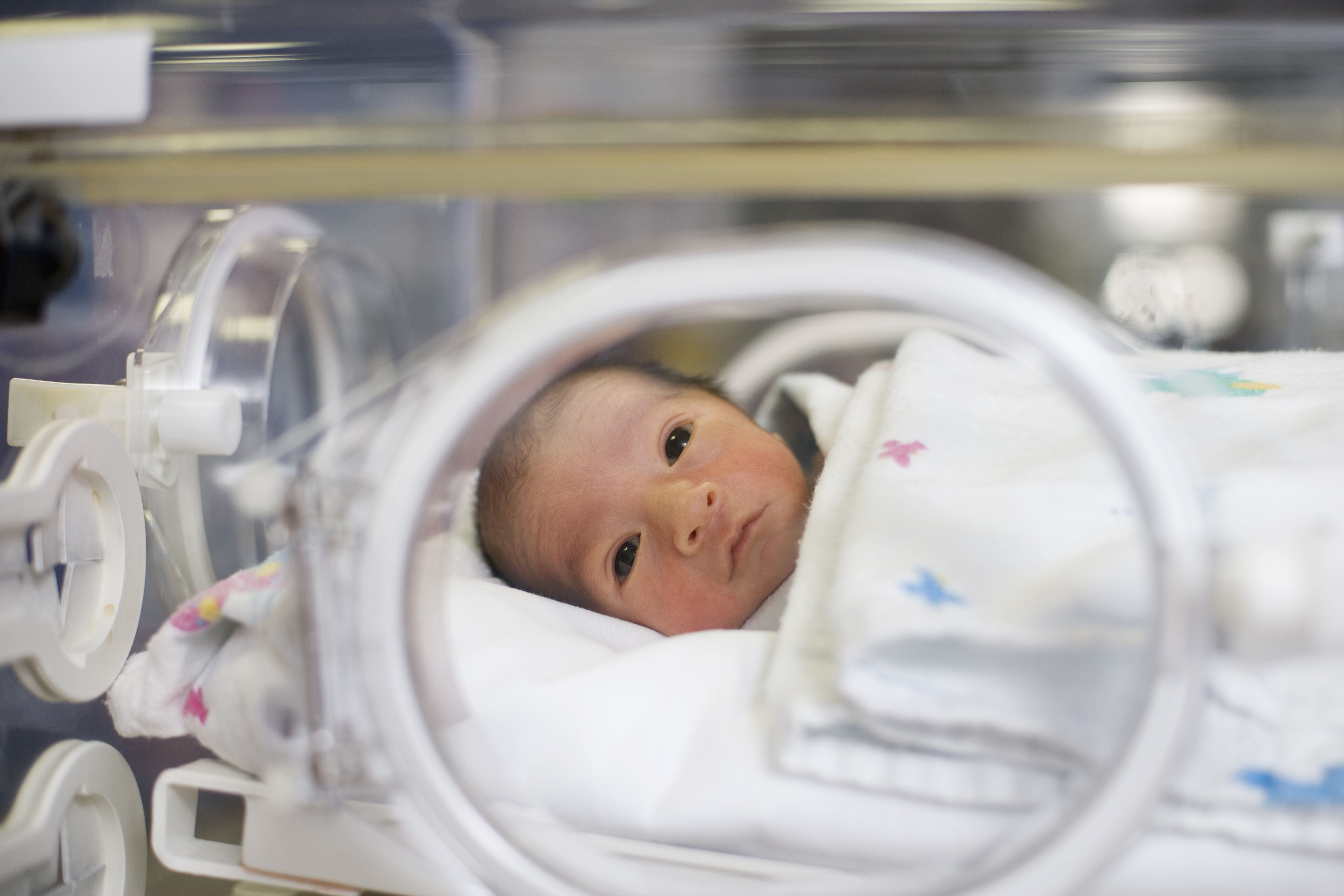 bebês prematuros crianças recém-nascido