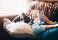 Assim como pessoas com Alzheimer, cães idosos com demência têm menos sono profundo, diz estudo