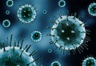 Autoridades emitem alerta epidemiológico por surto de bactéria Klebsiella no México