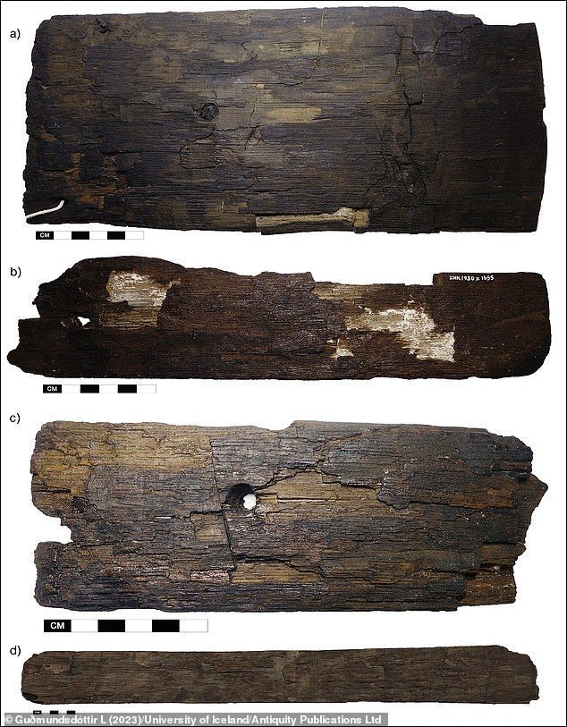 Amostras de madeira analisadas no estudo "Timber imports to Norse Greenland: lifeline or luxury?", publicado na revista Antiquity / Reprodução Cambridge University Press/ Antiquity Publications Ltd.