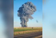 Explosão mata milhares de vacas nos EUA; causa pode estar em gás emitido por animais