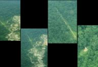 Aeronave é destruída após fechamento do espaço aéreo em terra Yanomami