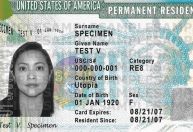 Pedidos de green card aumentam 28% entre os brasileiros em 2022