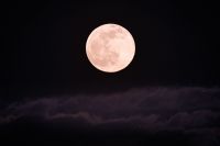 "Lua Cheia Rosa" surge no céu neste 1º de abril; entenda o significado