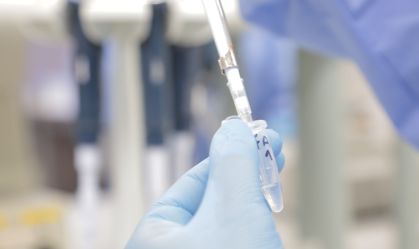 Cientistas avançam no desenvolvimento de tratamento para febre amarela