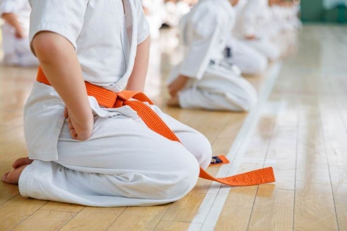 / Ordem das faixas do judô para os Mudanshas - Imagem: Shutterstock/Aleksandr Rybalko