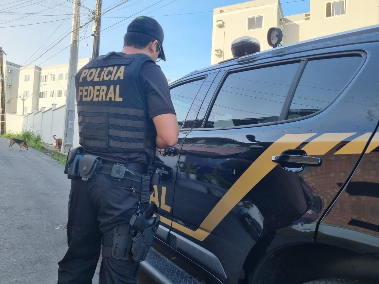 policia_federal_pf_02
