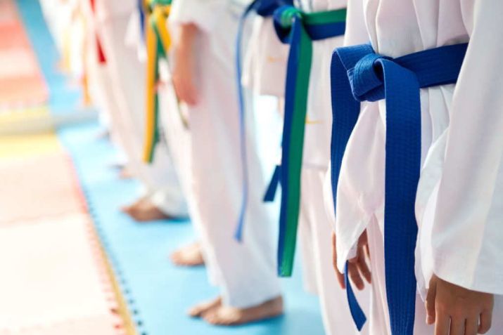 / Significado das cores das faixas do judô - Imagem: Shutterstock/Hxdbzxy