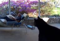 Susto de urso: homem fica em choque após encontro com animal em casa nos EUA; veja vídeo