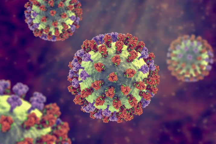 Vírus influenza apresenta alta capacidade de mutação / Kateryna Kon/Science Photo Library/Getty Images
