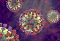 Cientistas monitoram mutações do vírus da gripe em amostras de esgoto