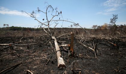 Clima extremo ameaça produção agrícola do Mar Negro ao Meio-Oeste dos EUA