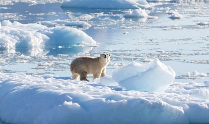 Temperatura global pode ser elevada em 1,5ºC nos próximos cinco anos, segundo a OMM