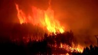 Entenda como as mudanças climáticas têm aumentado os incêndios florestais