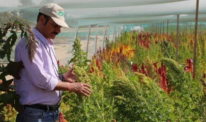 Veja como será a divisão dos recursos do Plano Safra da agricultura familiar