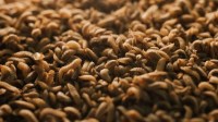 Setor de biscoitos, massas, pães e bolos fatura 2,1% mais no 1º semestre