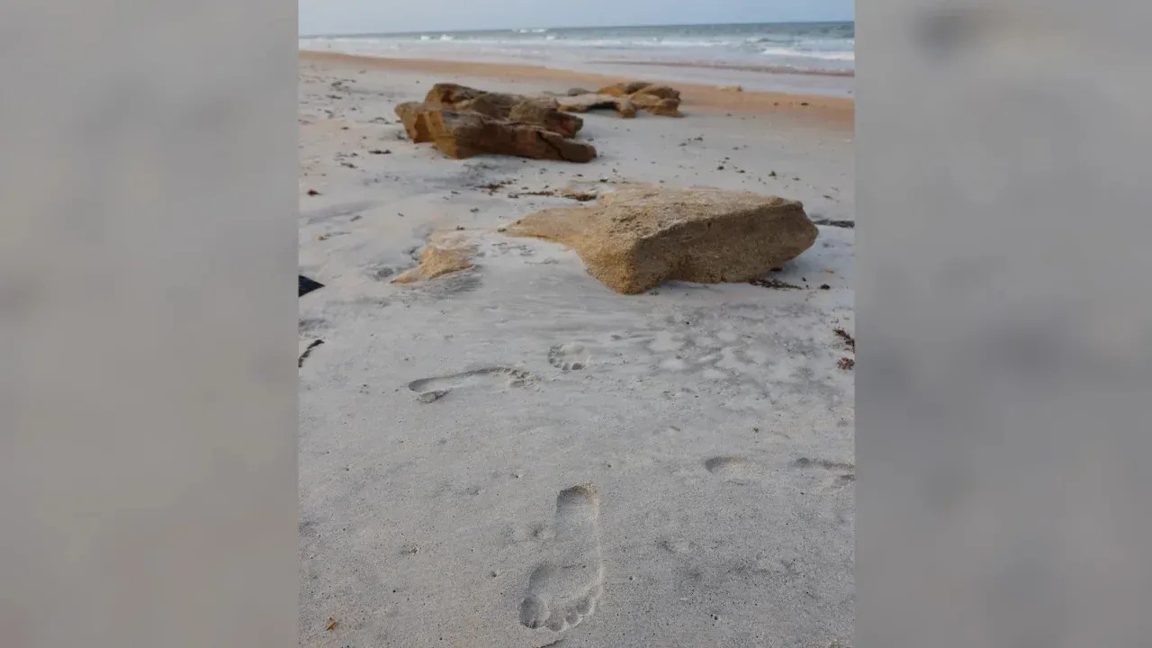 230515093323-01-human-dna-captured-from-air-footprint