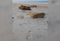 DNA humano é extraído do ar e pegada na areia; Veja o que isso pode significar