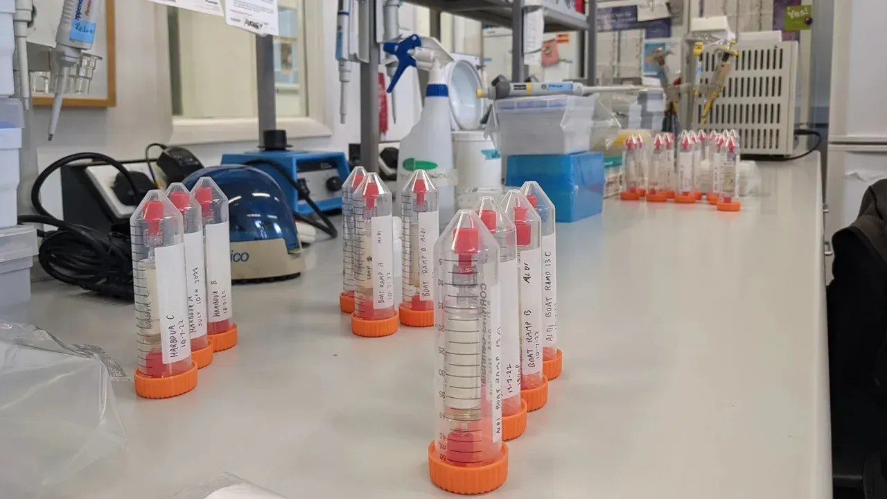 Filtros sendo preparados para extração de DNA ambiental / Dr. David Duffy, the University of Florida