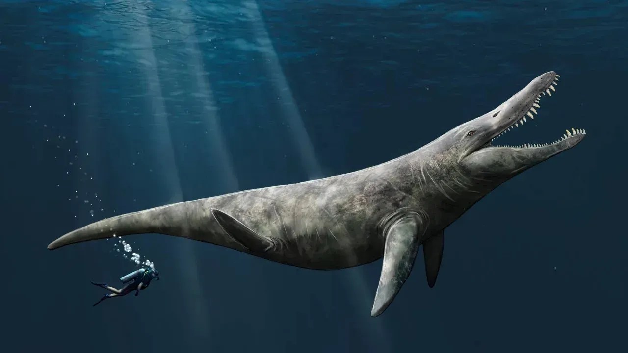 230515161006-pliosaur-artwork