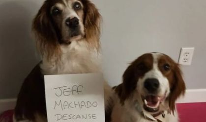 Já adotados, cães de Jeff Machado prestam homenagem ao ator: "Descanse em paz"