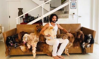 Cães de Jeff Machado são adotados; animais foram importantes para resolver caso