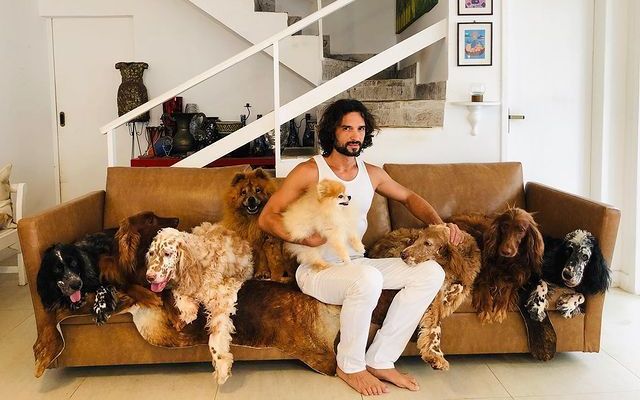 O ator Jeff Machado e seus oito cachorros da raça setter. / Reprodução/ Instagram