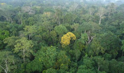 Complexo sistema de chuvas da Amazônia é desvendado