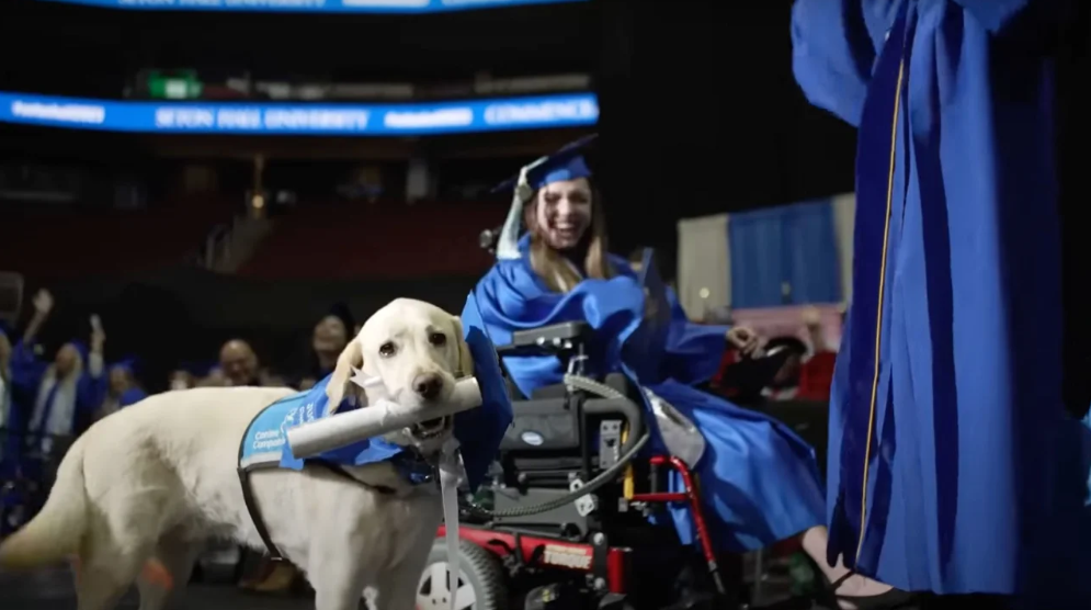 Justin, o cão de serviço de Grace Mariani, recebeu um diploma