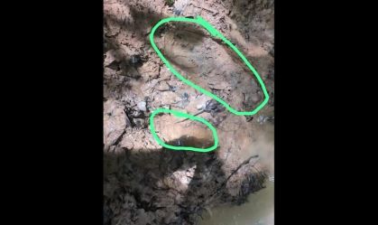 Colombian Army finds new clues to whereabouts of children missing in jungle