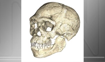 Dados do genoma apontam para como o Homo sapiens surgiu na África