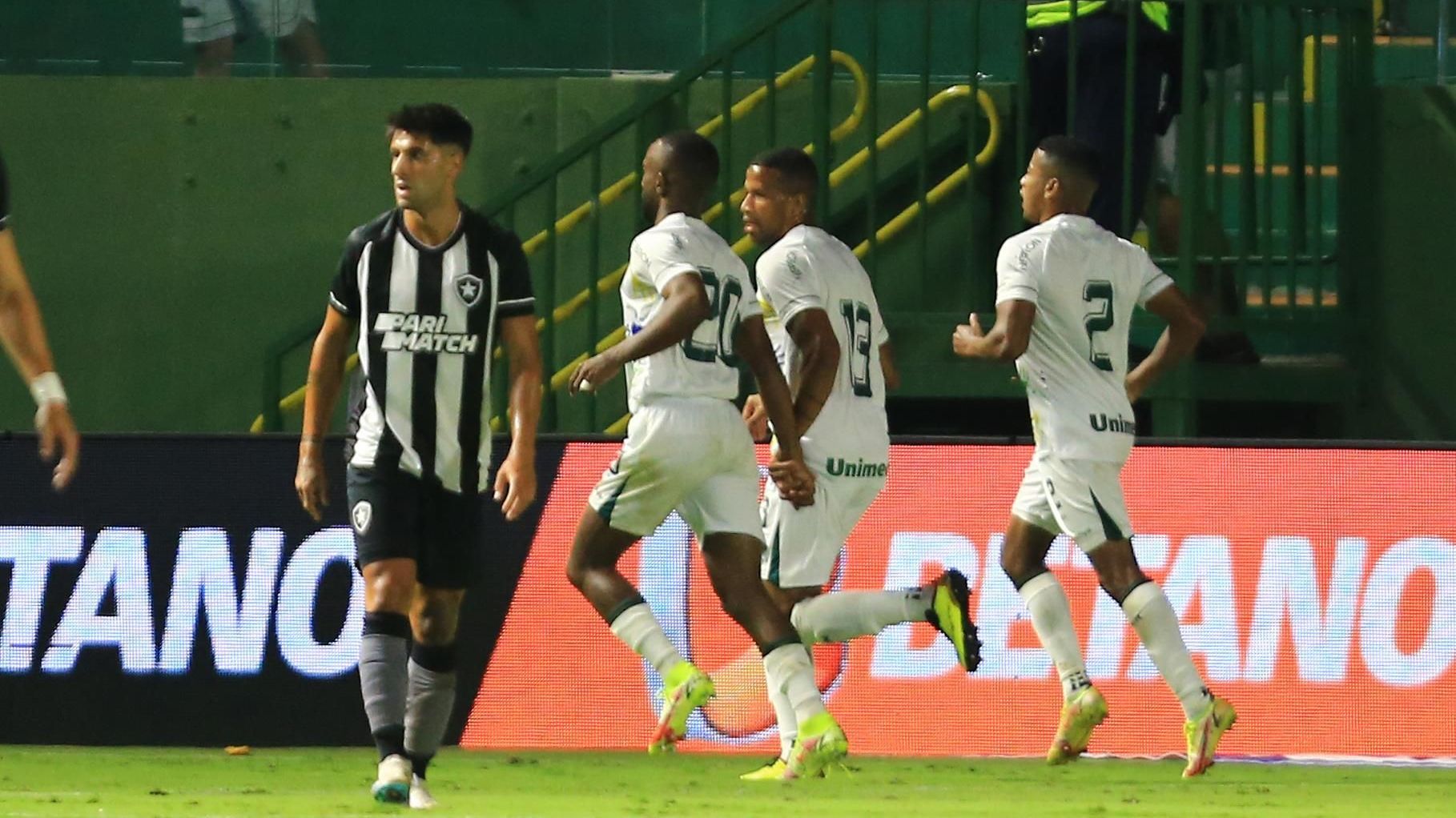Goiás comemora o gol da virada sobre o Botafogo
