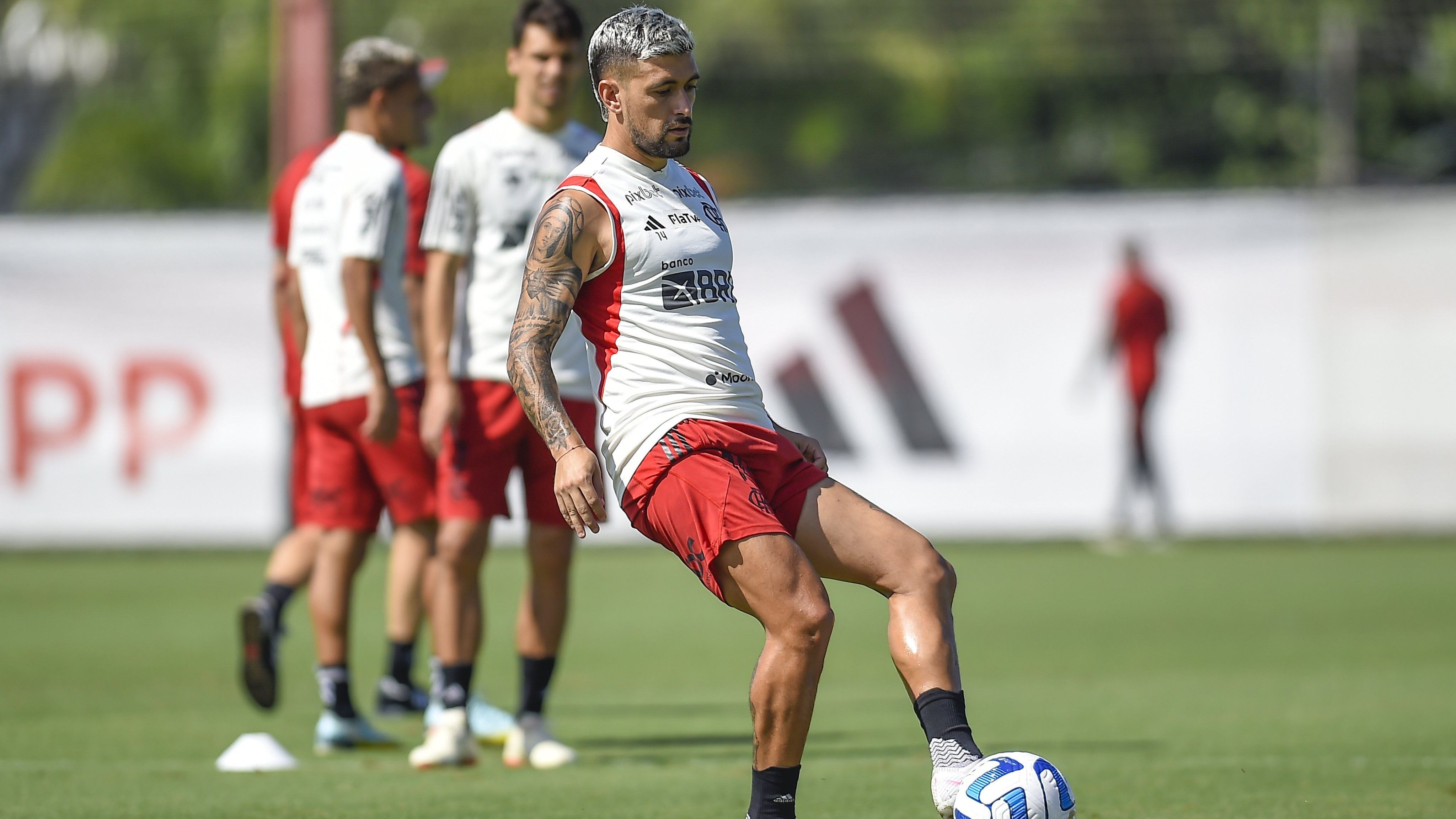 Arrascaeta treina pelo Flamengo