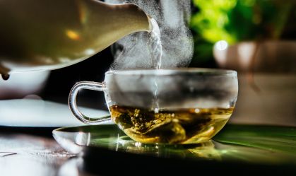 Chá de boldo: aliado para a digestão? Veja os benefícios e como preparar