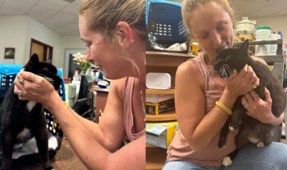 gato reencontro mulher pet ong