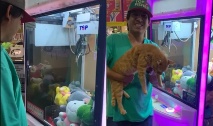 Homem “fisga” gato de verdade em máquina de pegar pelúcia no Mato Grosso do Sul