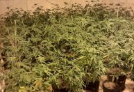 Polícia prende duas pessoas em local utilizado para produção da droga K9 em SP
