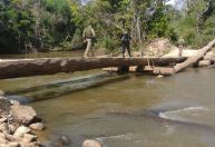 Em operação, PF e Ibama destroem ponte que dava acesso de garimpeiros ilegais à terra indígena