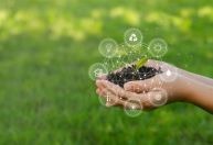 Campo, finanças e tecnologia: saiba o que são as agfintechs e sua importância no agronegócio