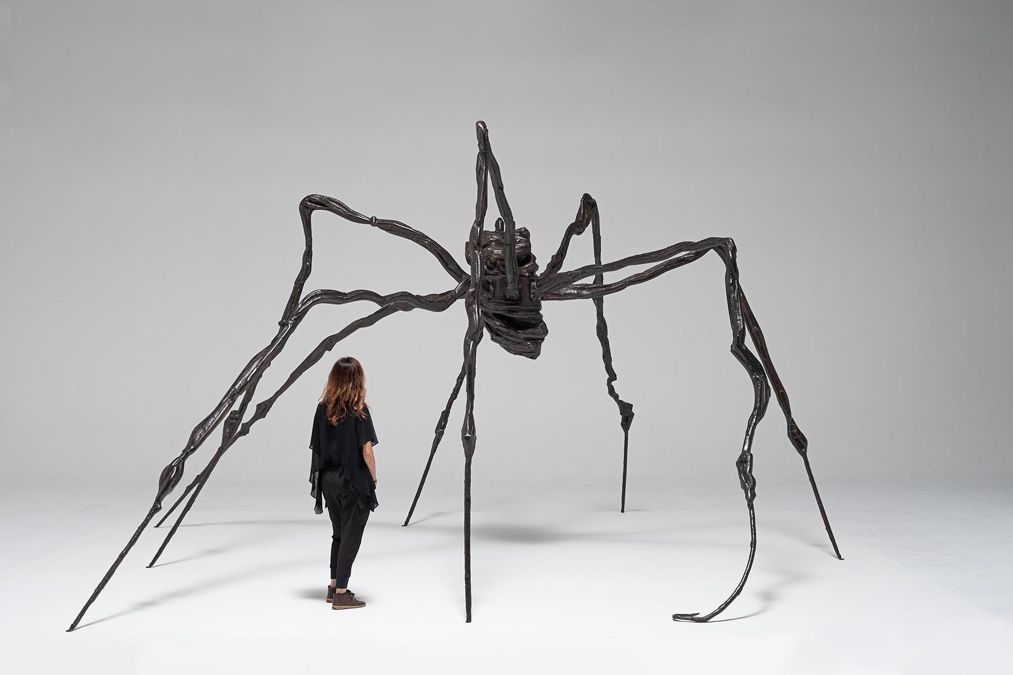 aranha do mam