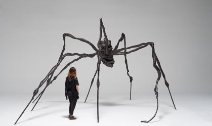 aranha do mam