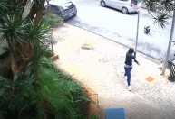 Motorista atropela passeador com cinco cachorros e foge sem prestar socorro em SP