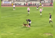 Cachorro invade campo, “desarma” jogador e brinca com a bola; veja