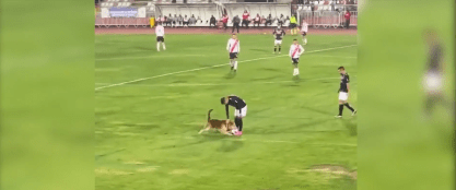 Cachorro invade o campo no Campeonato Chileno