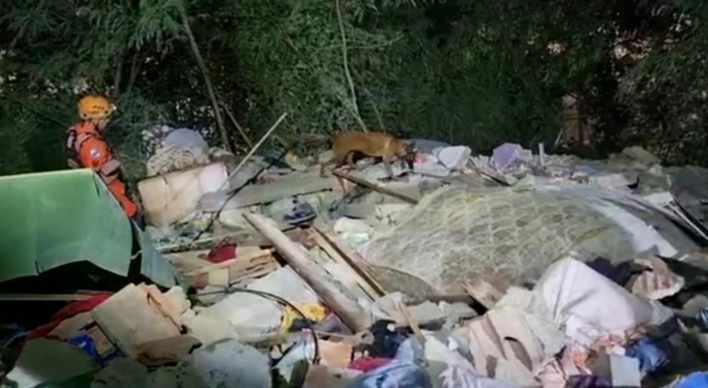 casa-desaba-rj