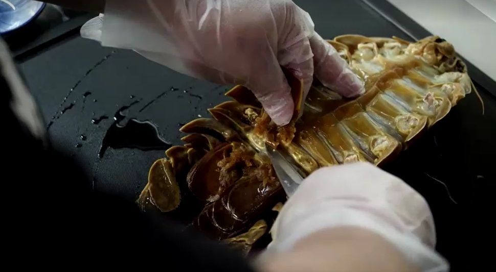 Um isópode gigante de 14 pernas faz sucesso na culinária de Taipé / Reprodução/Reuters